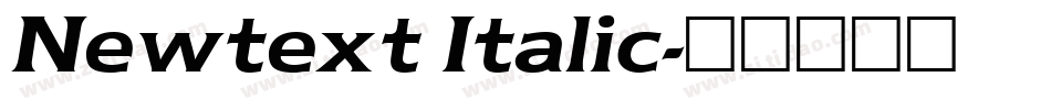 Newtext Italic字体转换